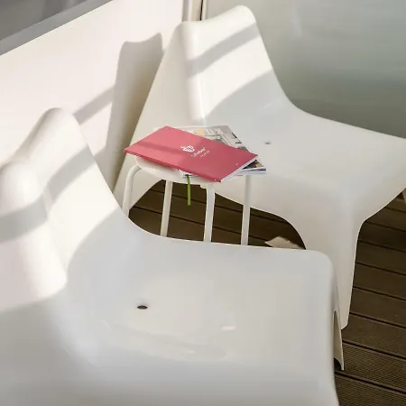 Forest Surfingbird *