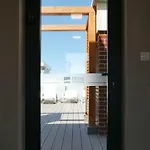 Apartment Forest Surfingbird *
