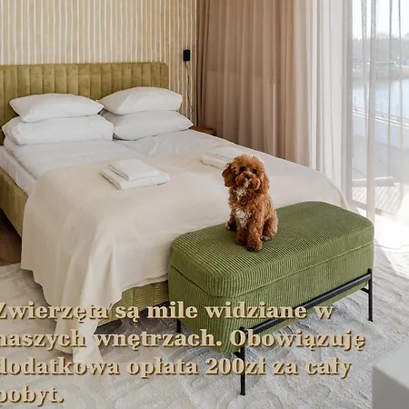 Forest Surfingbird 科沃布热格