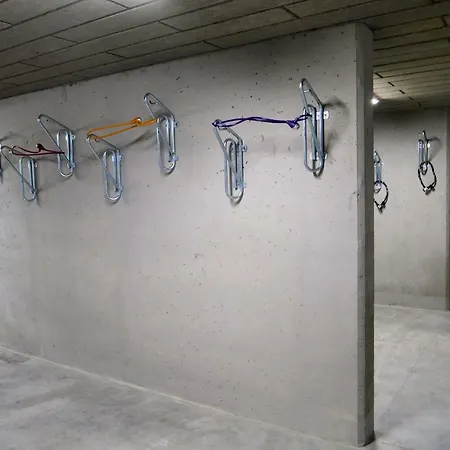 Forest Surfingbird Kolobrzeg