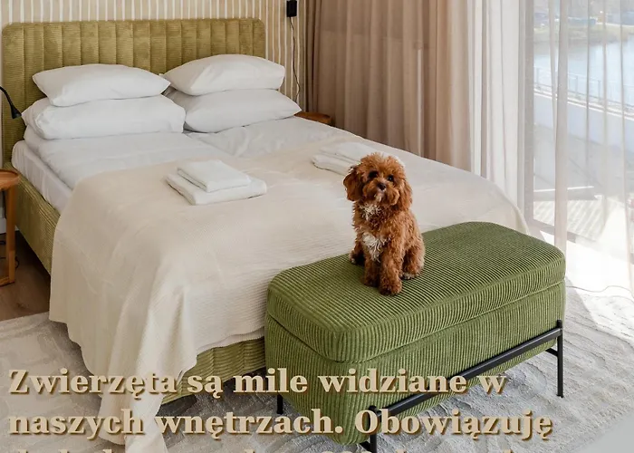 Forest Surfingbird Kołobrzeg